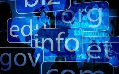 Jaką domenę przedsiębiorca może uznać za atrakcyjną?