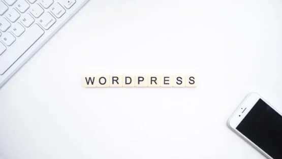 Strona firmowa na WordPress