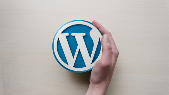 <b>Aktualizacje WordPress – wszystko, co powinieneś o nich wiedzieć</b>